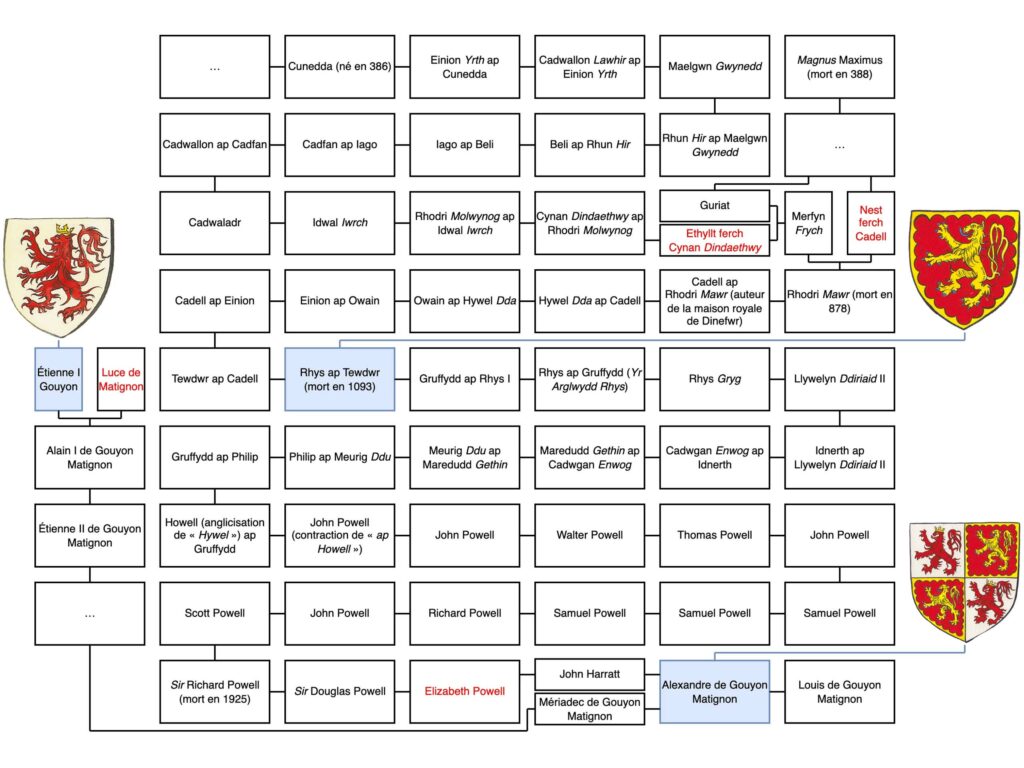 arbre généalogique de Louis de Gouyon Matignon Dinefwr